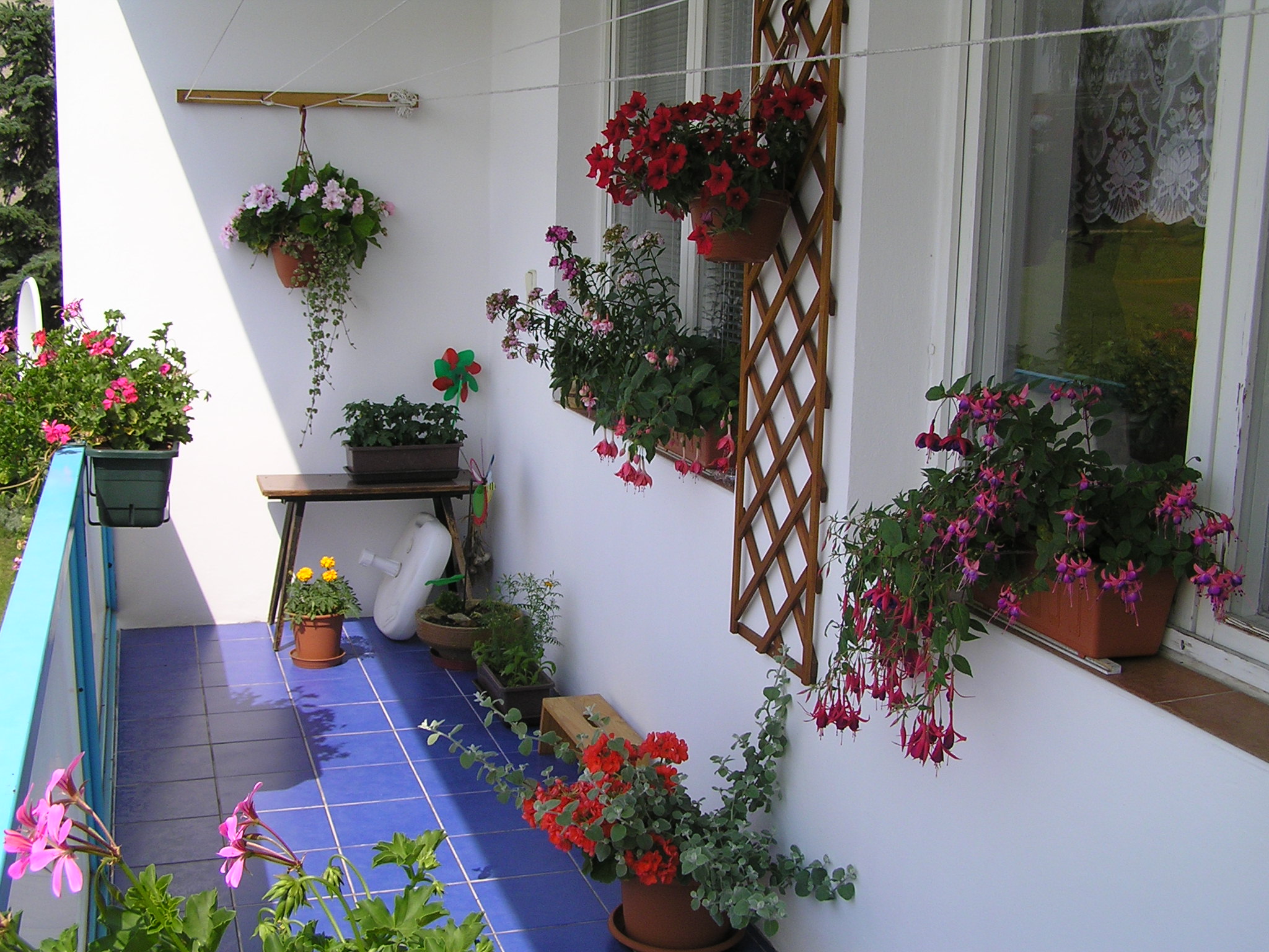 balkon 2009
